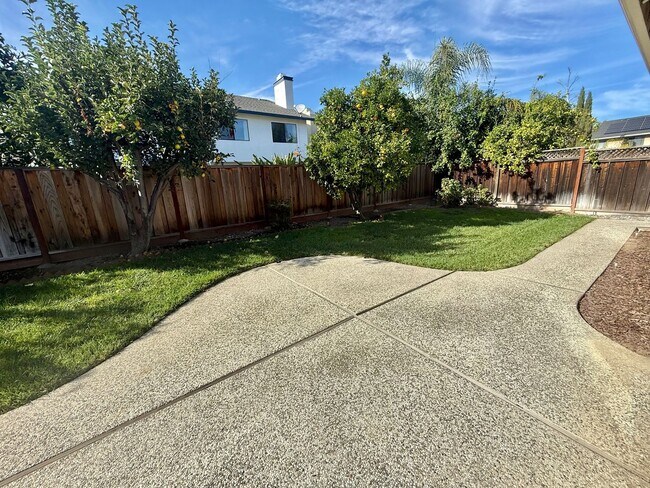 Building Photo - BLOSSOM VALLEY - bright and airy 4-bedroom...