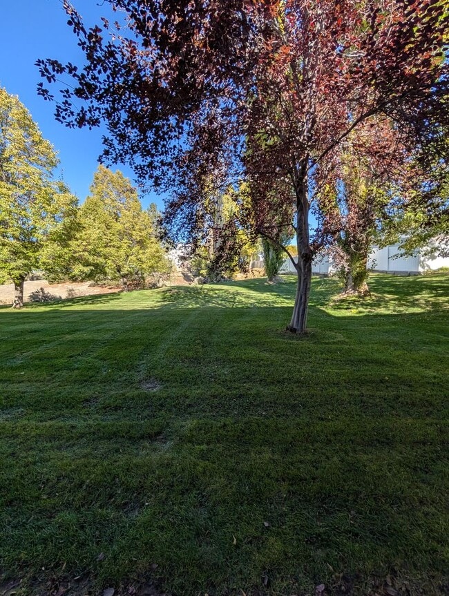 Building Photo - 1366 Delphic Way