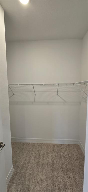 Building Photo - 307 Mendoza St