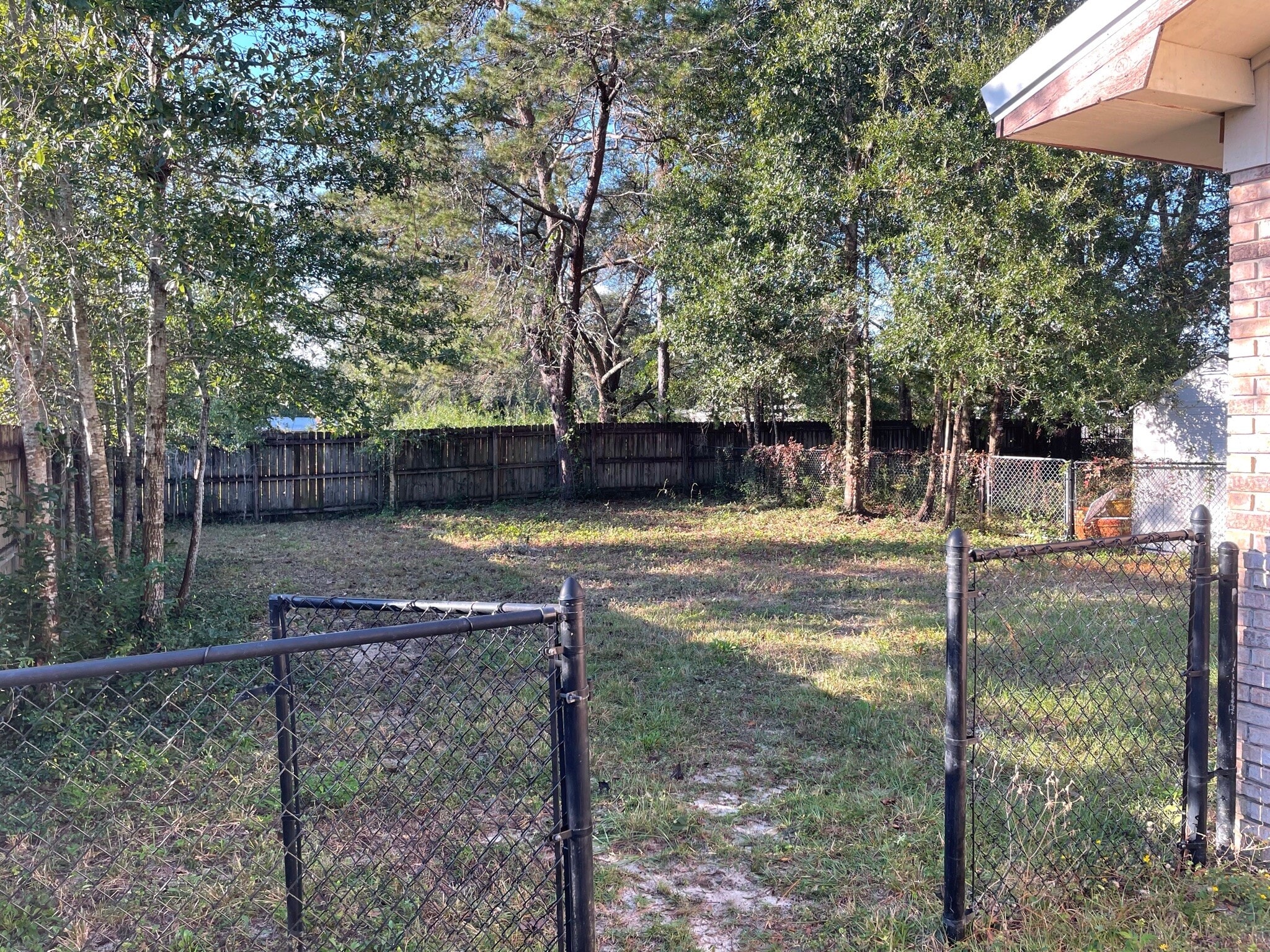 Fenced in Back yard - 307 Lincoln Ave