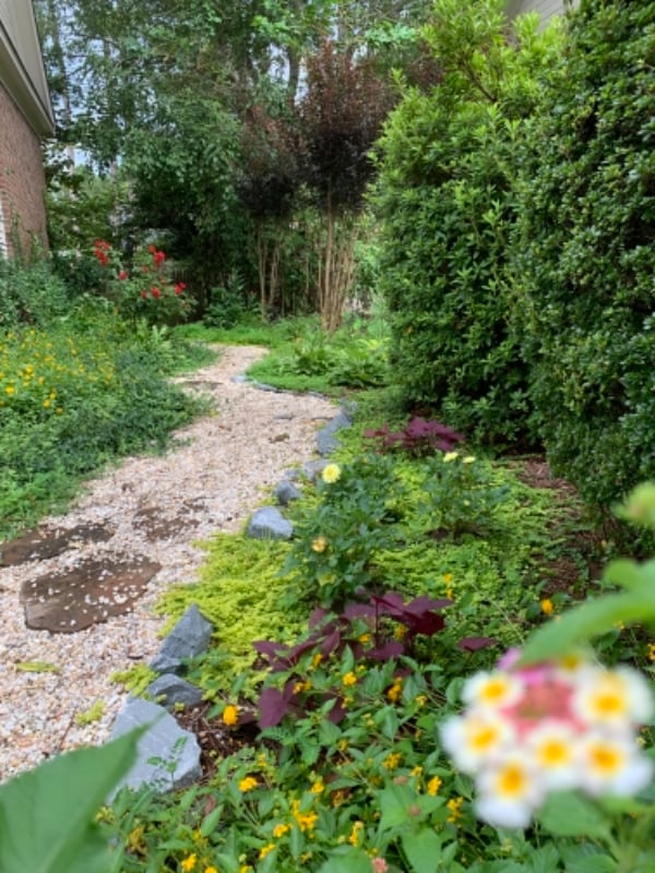 Building Photo - 7788 Pintail Dr