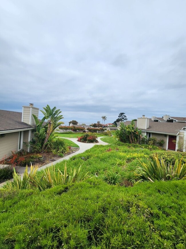 Building Photo - Adorable Shell Beach Home in Gorgeous Ocean View Community- Tons of Amenities!