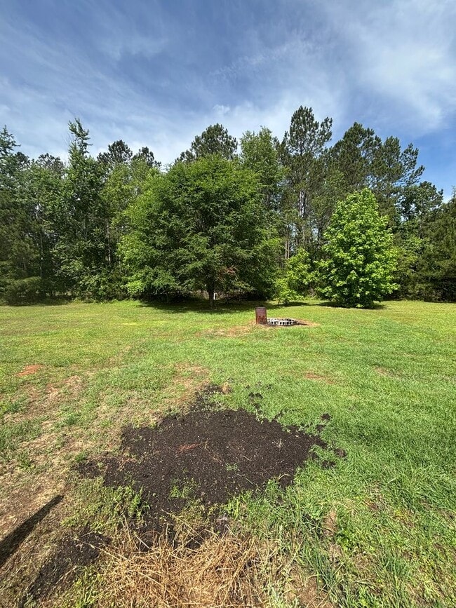 Building Photo - Wedgefield Community