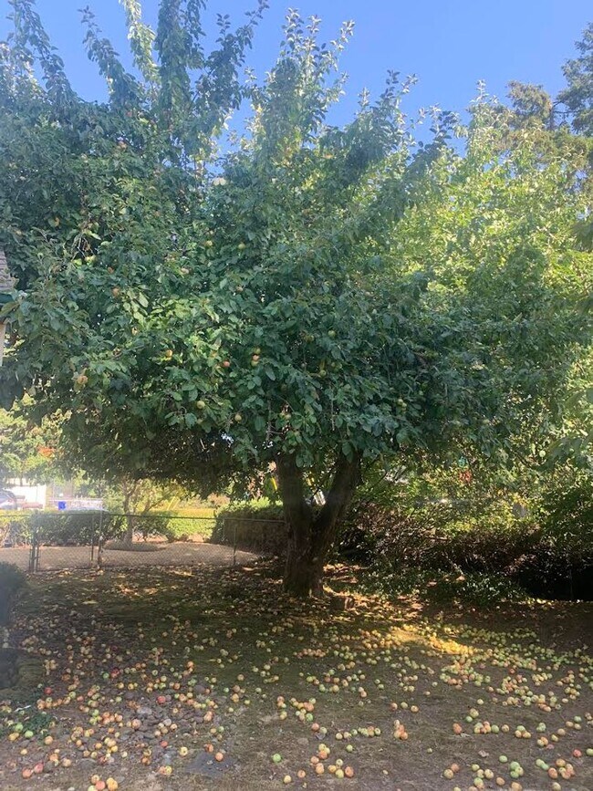 Building Photo - Colonial Style Home on Park-Like Grounds