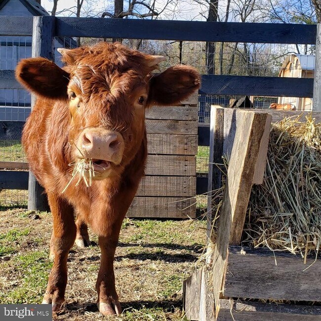 Building Photo - 22887 Hopeful Ln