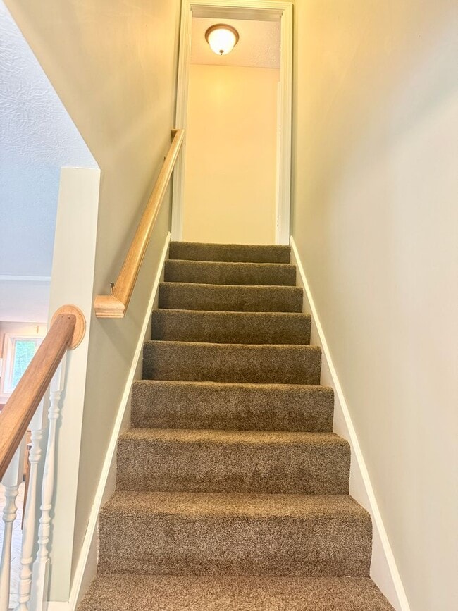 Building Photo - Sunny & Spacious 4 bedroom home