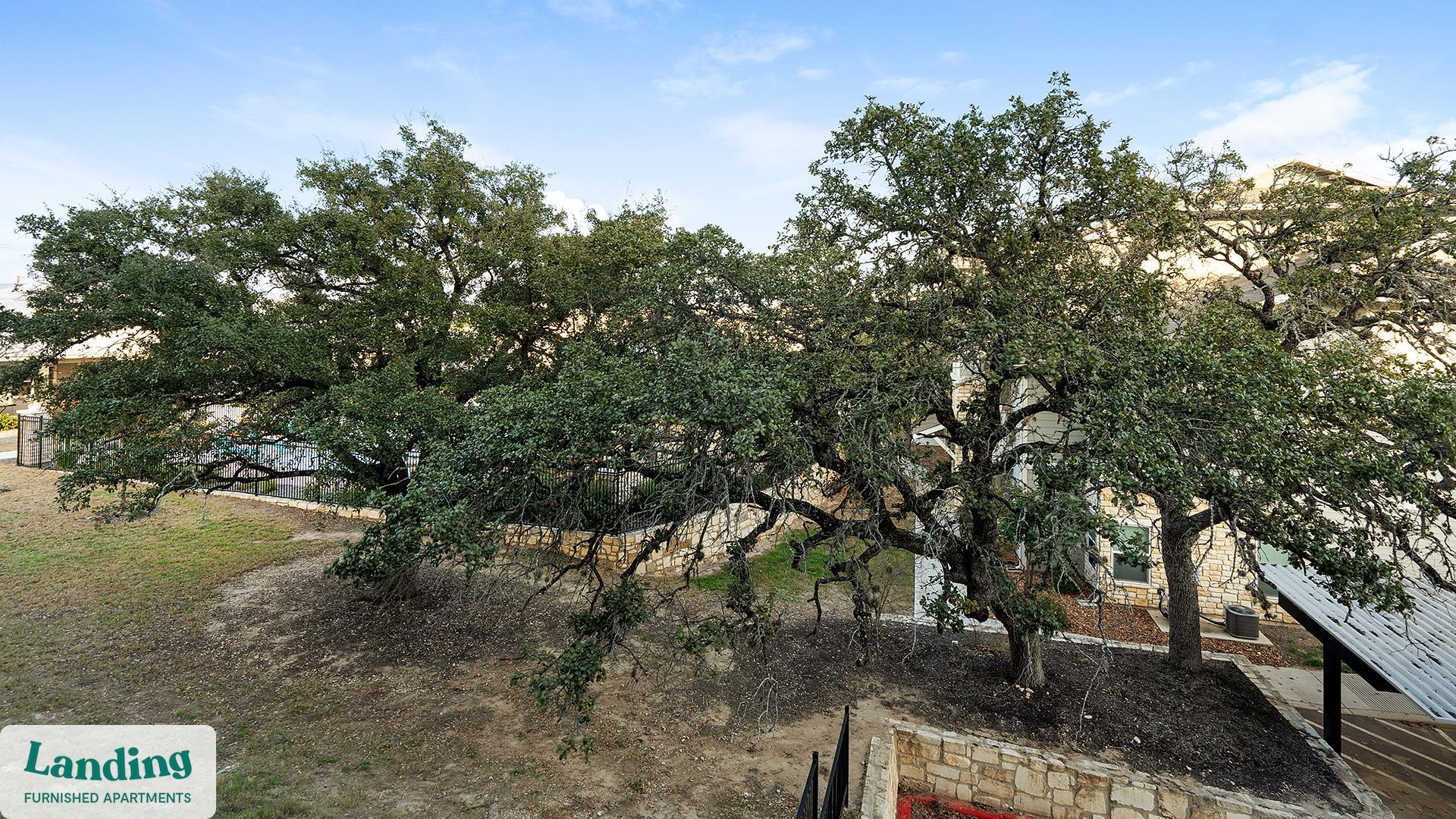Building Photo - 14006 Potranco Rd