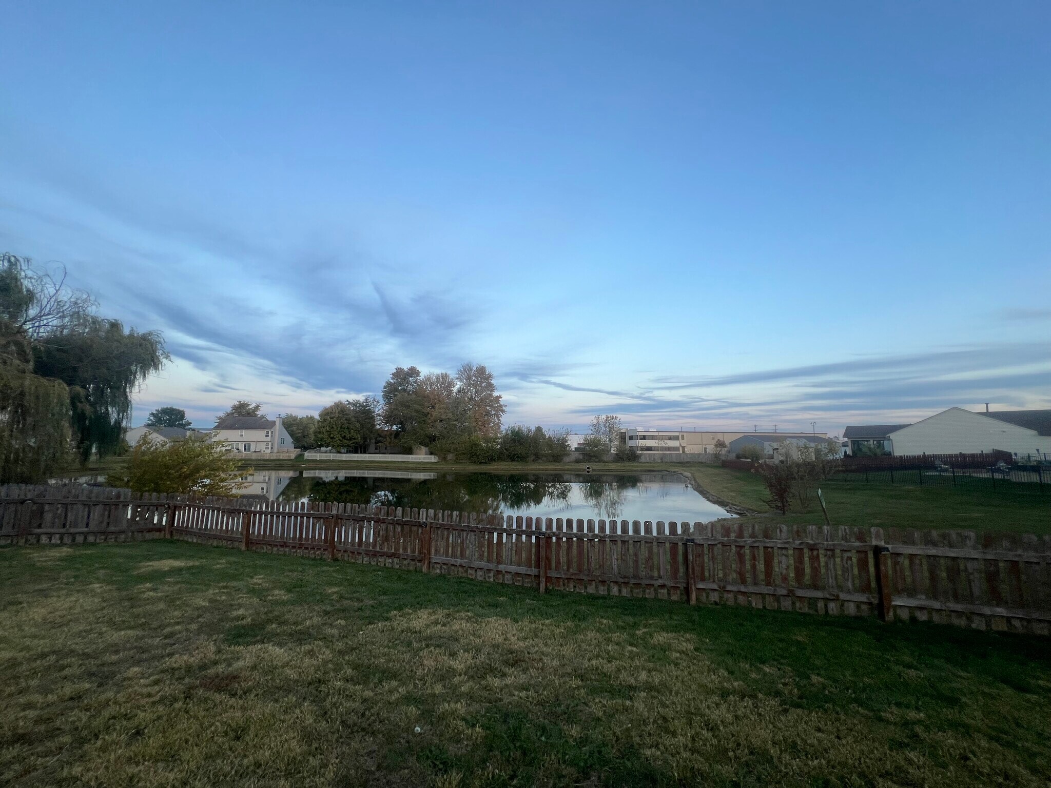 Back yard - 227 Lakemoore St