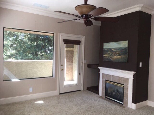 Crown molding. Gas fireplace - 900 S Meadows Pky