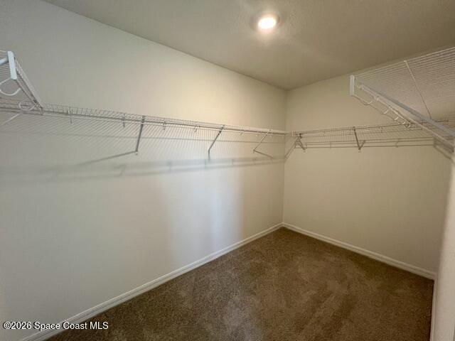 Building Photo - 1239 Bluewater Ln