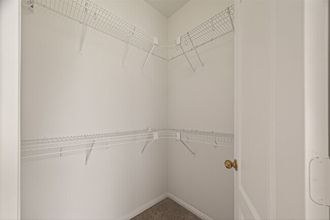 Building Photo - 3804 Dunlavy Dr