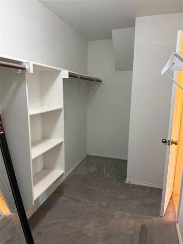 Building Photo - 11617 Summer Springs Dr