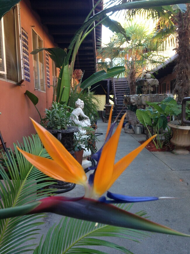 Peaceful - 3333 W St