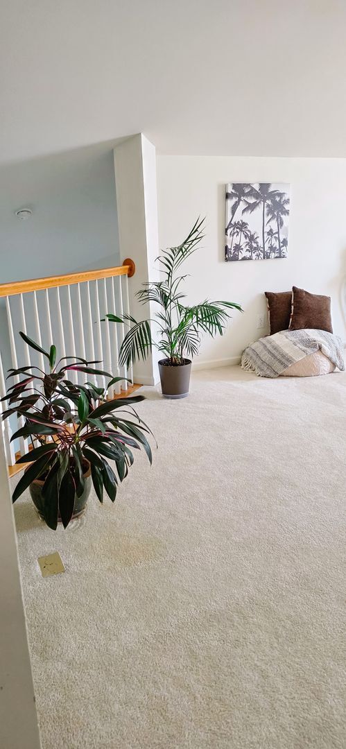 Building Photo - Stunning 2-Bed, 2-Bath Condo in Salisbury