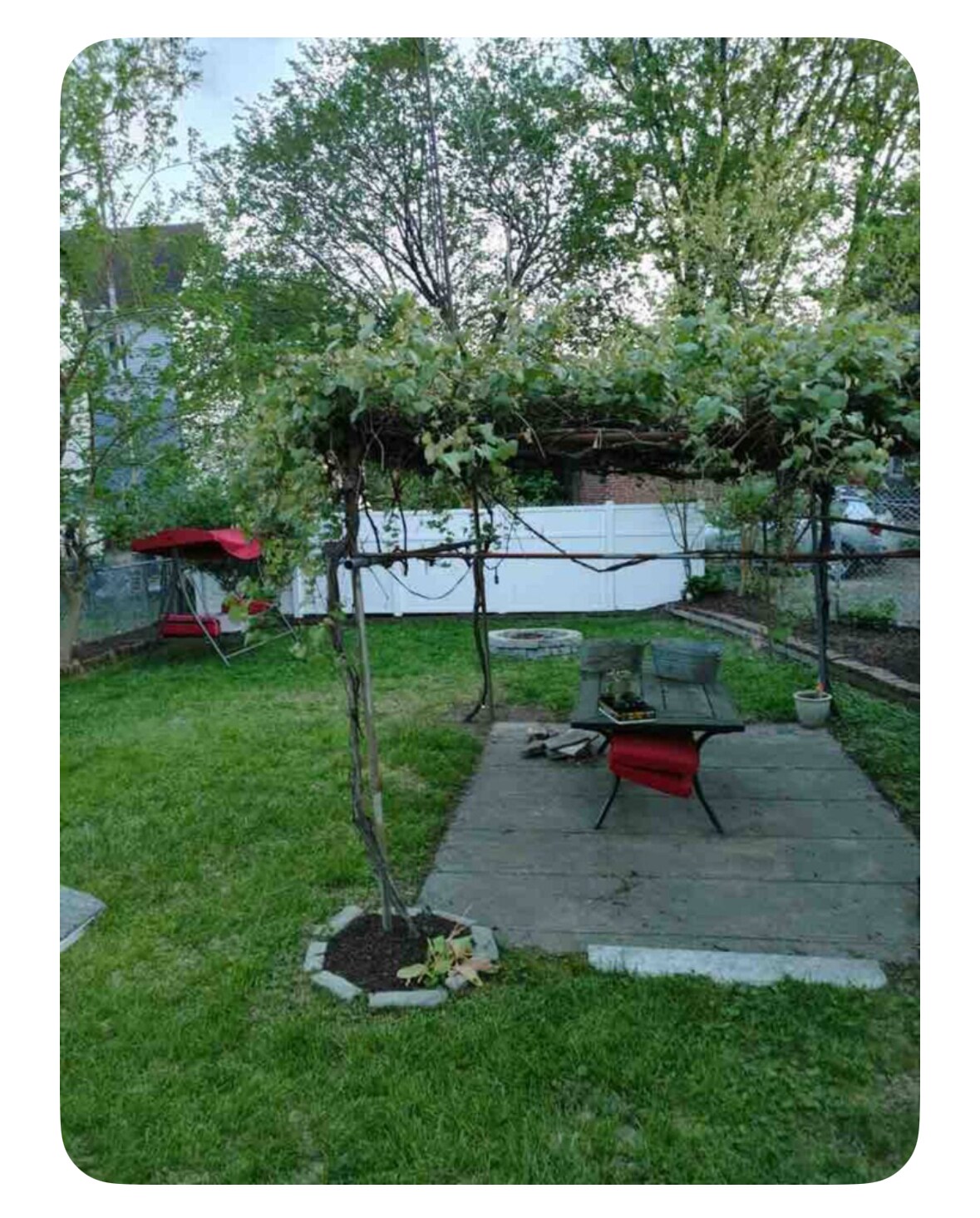 Yard - 105 Vinton St