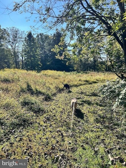 Building Photo - 1705 Mountainview Dr