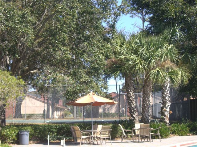 Building Photo - STRATFORD CONVENIENT 1/1 CONDO IN SEMINOLE...