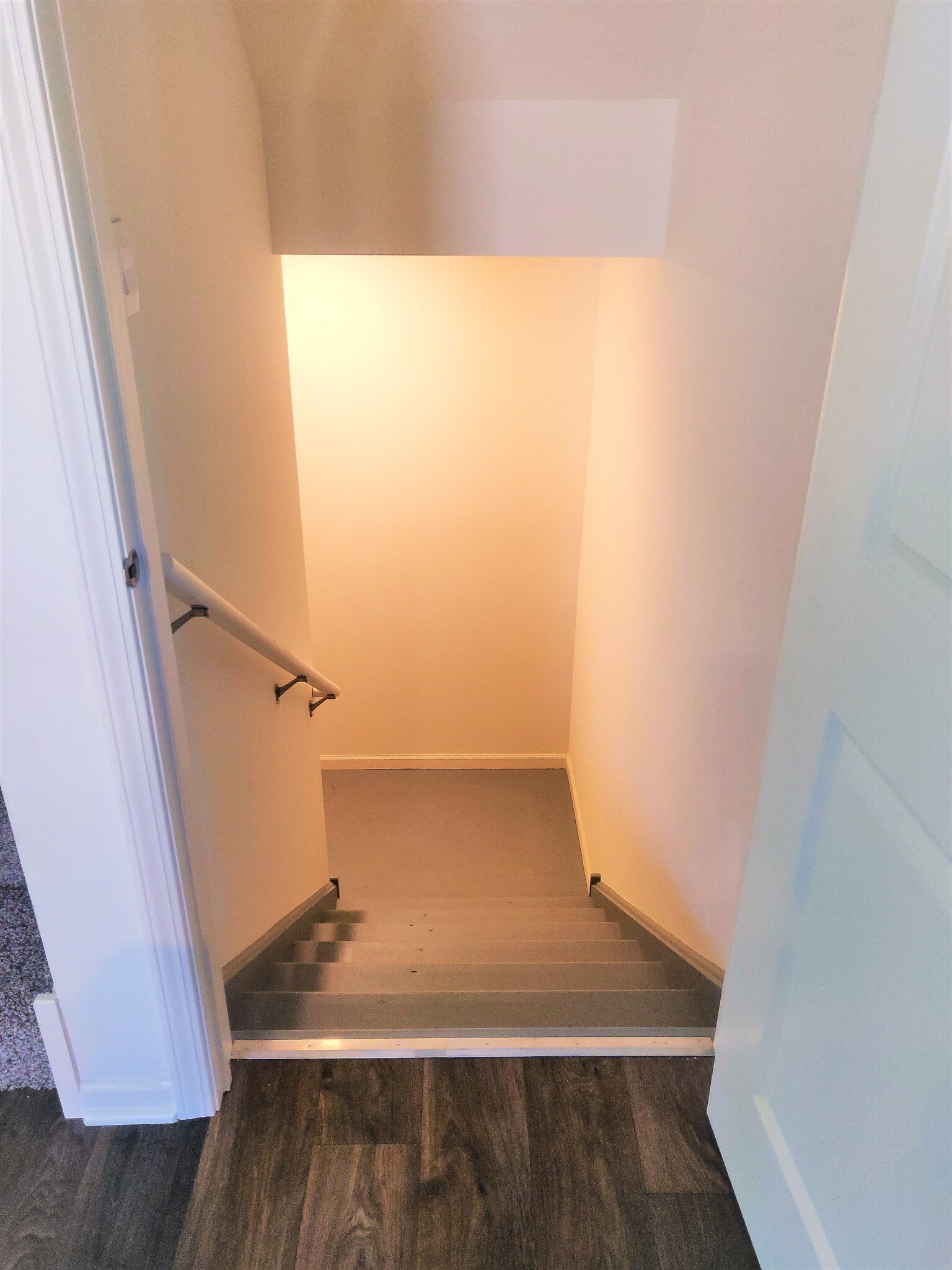 Basement entrance - 1925 Turtle Creek Ct