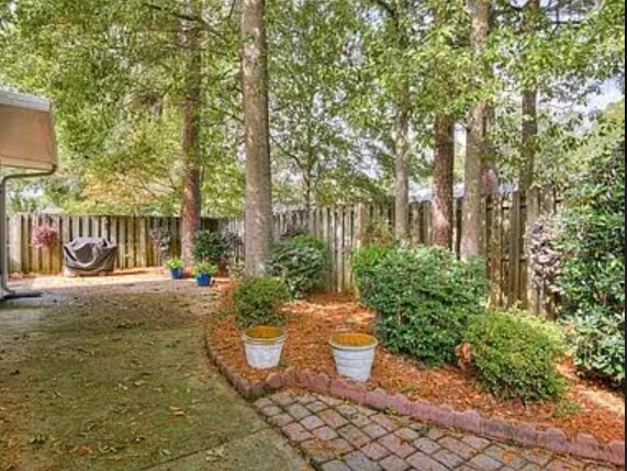 Backyard - 1191 Carriage Dr