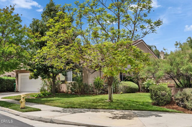 Building Photo - 24889 Ash Tree Ct