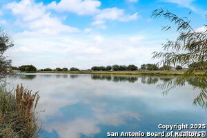 Building Photo - 11859 Davalos Ln