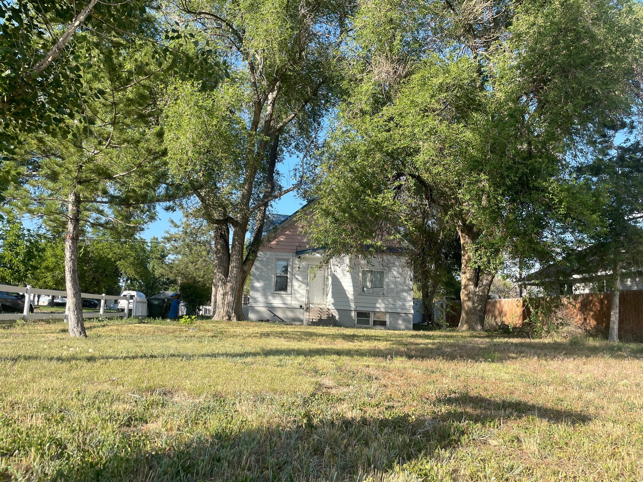 Large yard with mature trees - 719 East Fremont Street