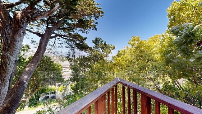 Building Photo - 236 San Carlos Ave