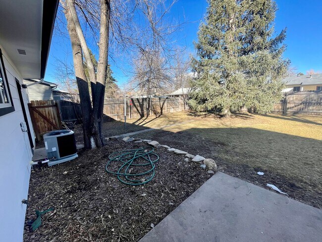 Building Photo - Newly Renovated 4 Bed 2 Bath House Near CSU!