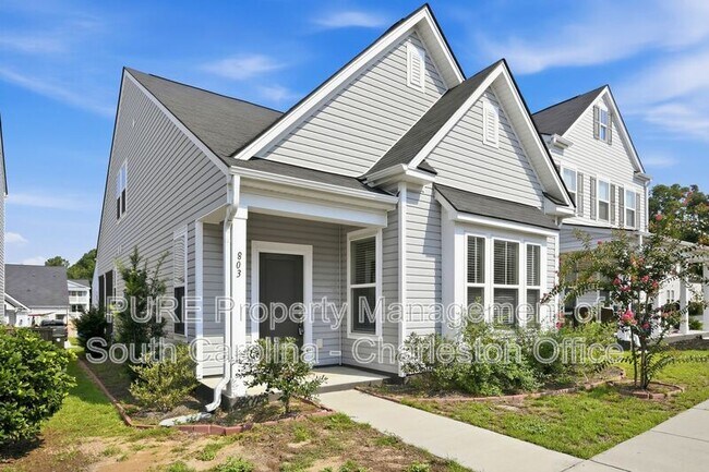 Building Photo - 803 Lachicotte Creek Dr