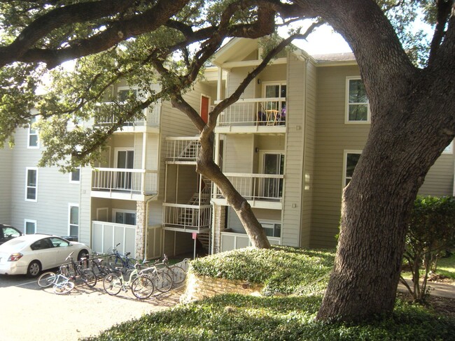 Primary Photo - Hyde Park Oaks 1 Bedroom - Fall 2025 West ...