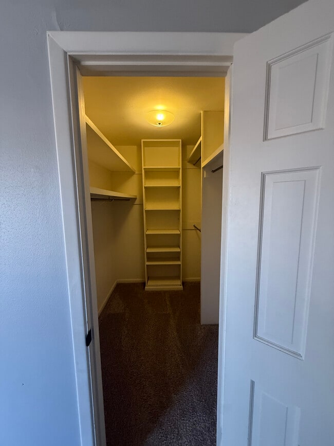 Building Photo - 3417 Sunlite St