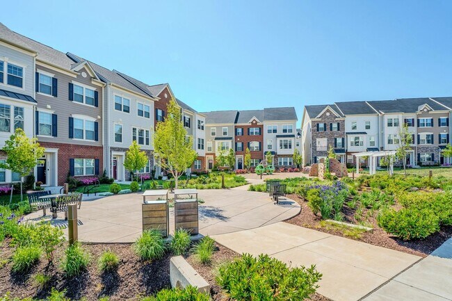 Building Photo - 813 Sawback Sq NE