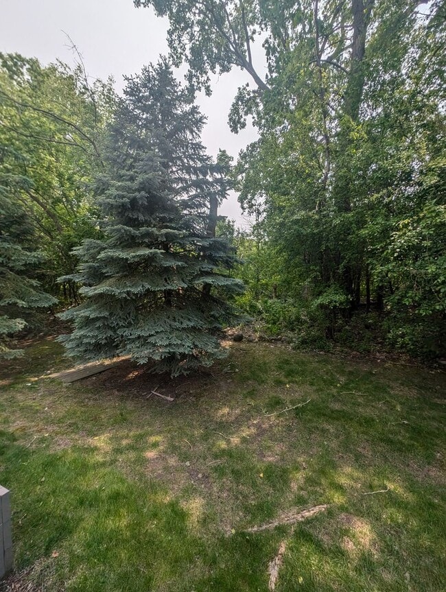 Building Photo - Updated 3BR Townhome in Eagan – Close to S...