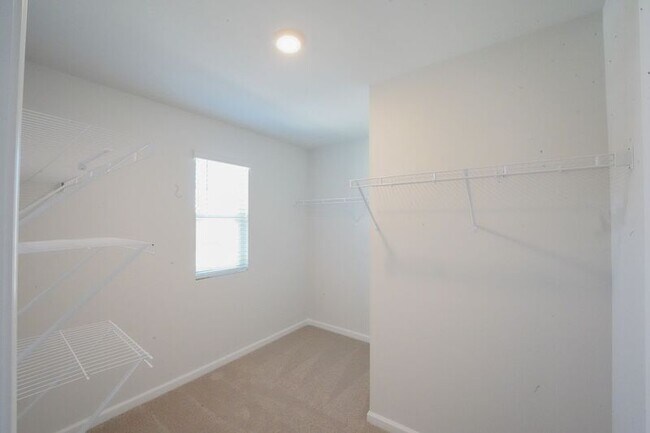 Building Photo - 432 Coconut Dr