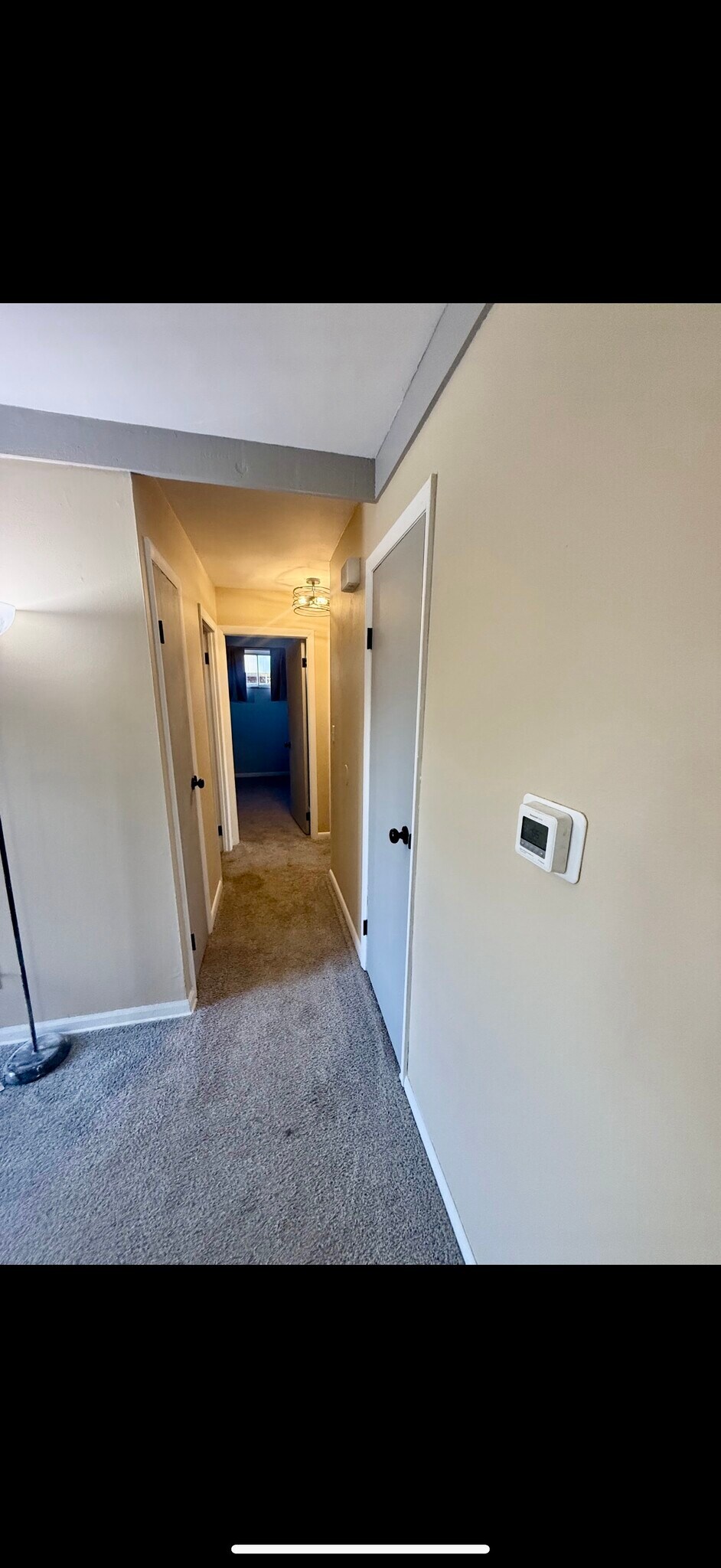 Building Photo - 1611 Vilardo Ln