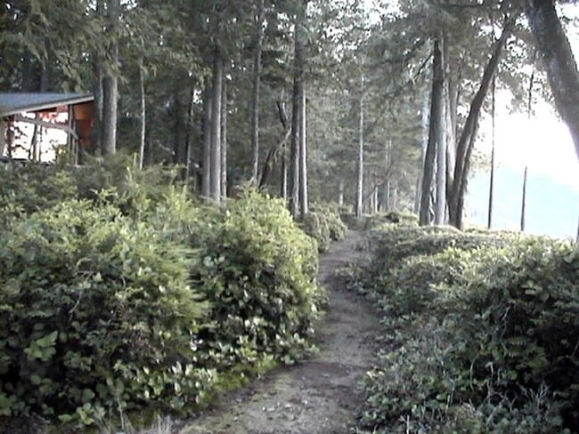 Building Photo - Come live in this quiet corner of Harstine Island!