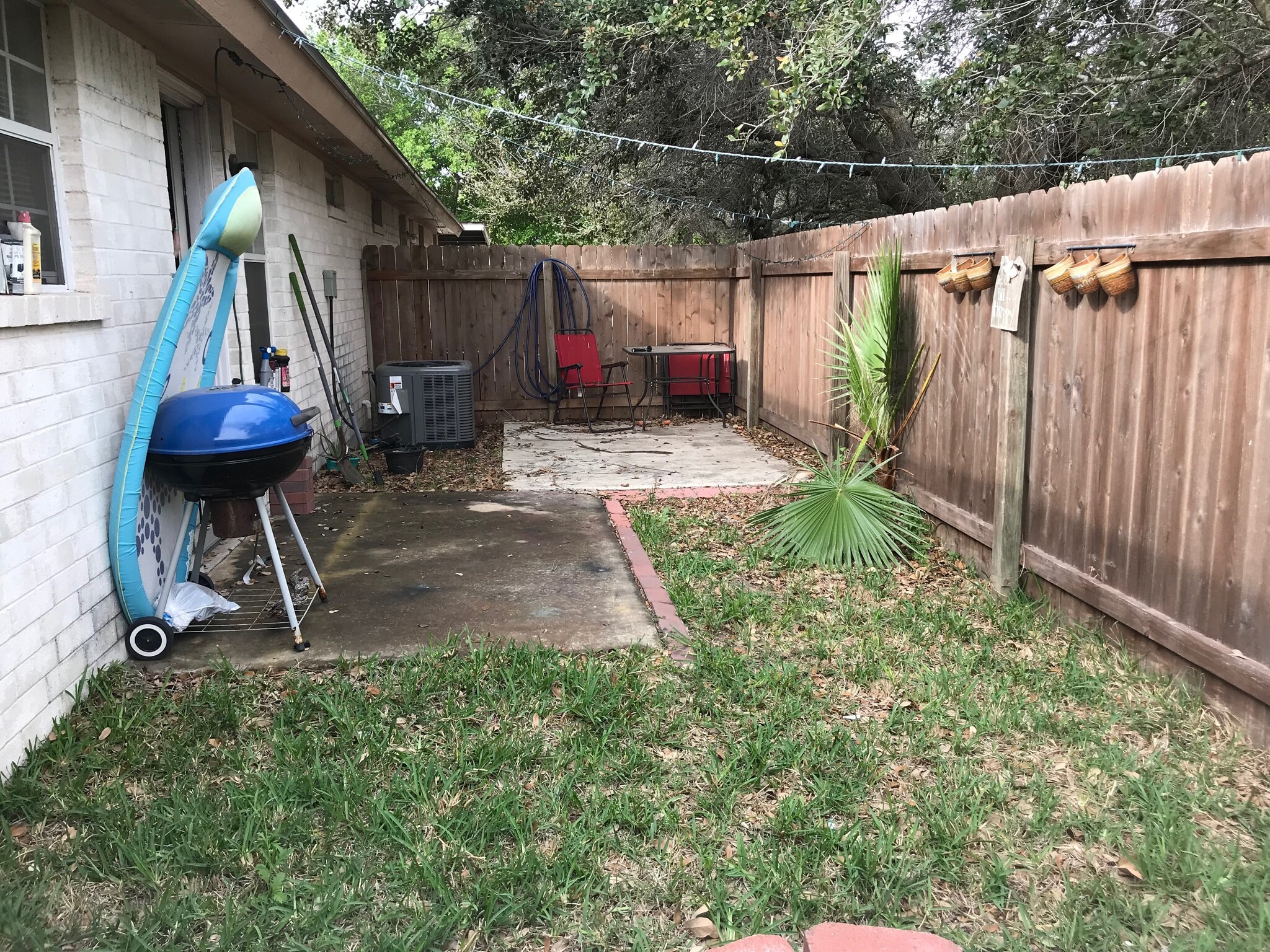 Large fenced backyard. - 1801 Lexington Circle