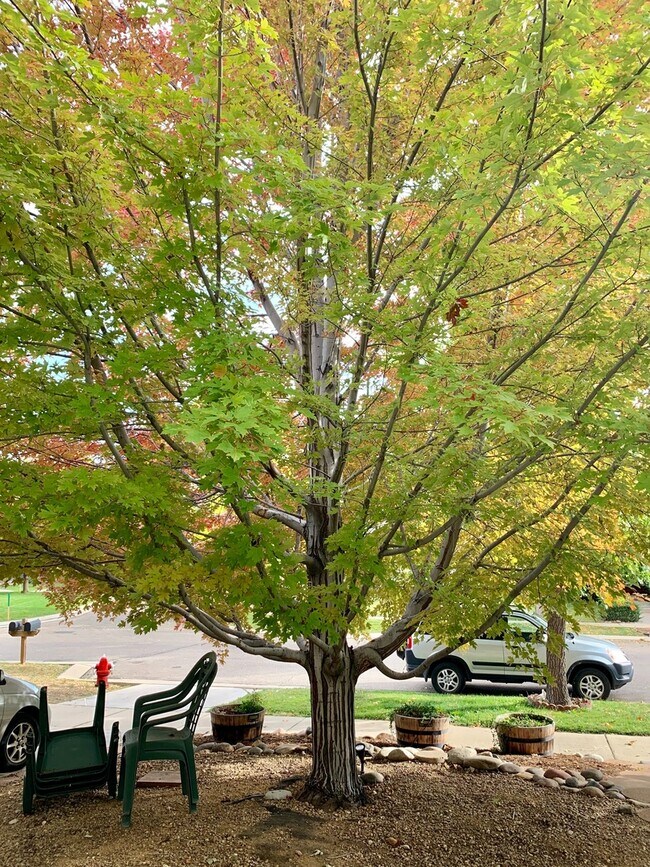 Building Photo - Spacious Rowhouse on Cul-de-sac in SW Longmont for Lease!