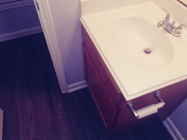 Building Photo - 211 Wild Buffalo Dr