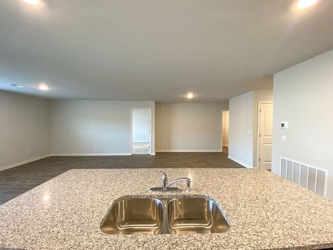 Building Photo - 3 bed 2 bath new construction by DR Horton