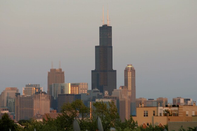 VIEW FROM ROOF DECK - 2555 W Moffat St
