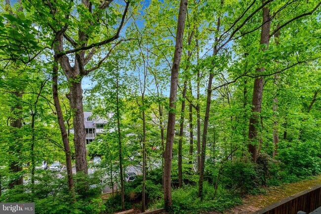 Building Photo - 7717 Donnybrook Ct