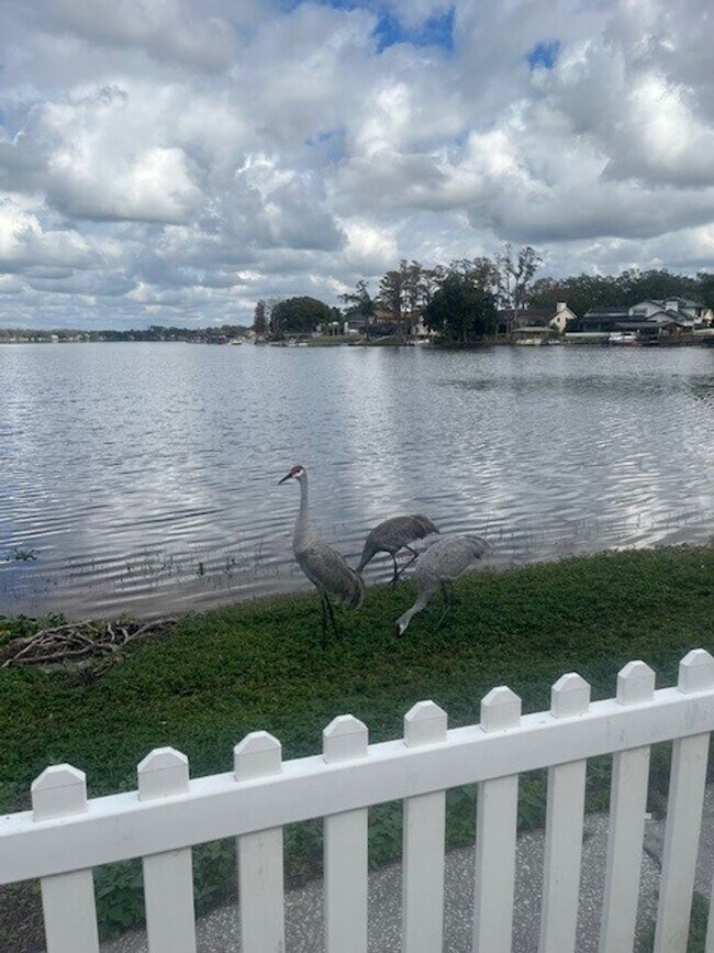 Building Photo - Whispering Oaks