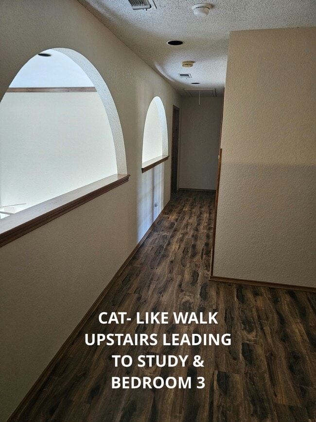 Building Photo - 7 Donore Square