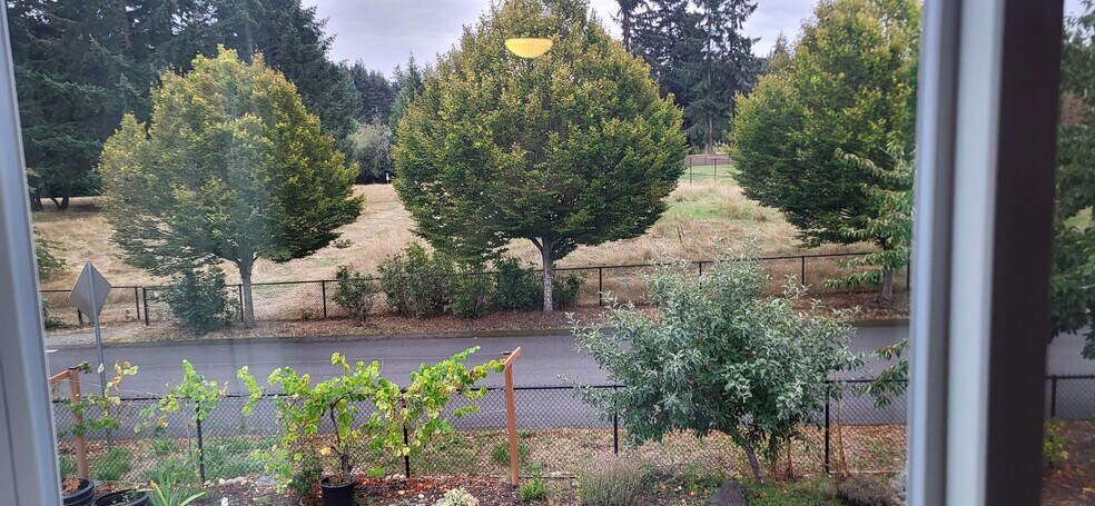 View from Master Bedroom - 806 29th Ave SE