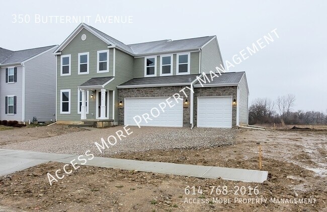 Building Photo - AWESOME MULTI-LEVEL HOME IN CIRCLEVILLE OHIO!