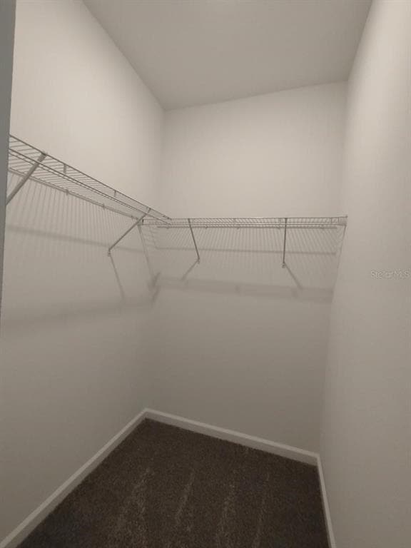 Building Photo - 4038 Gooseberry Trl