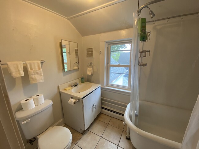 3rd floor bathroom - 21 Royall St