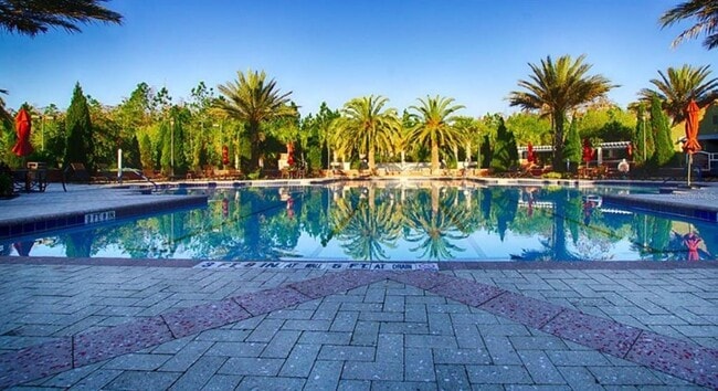 Building Photo - 2435 Palm Tree Dr