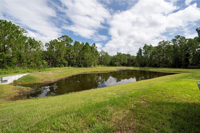 Building Photo - 355 Lily Ln